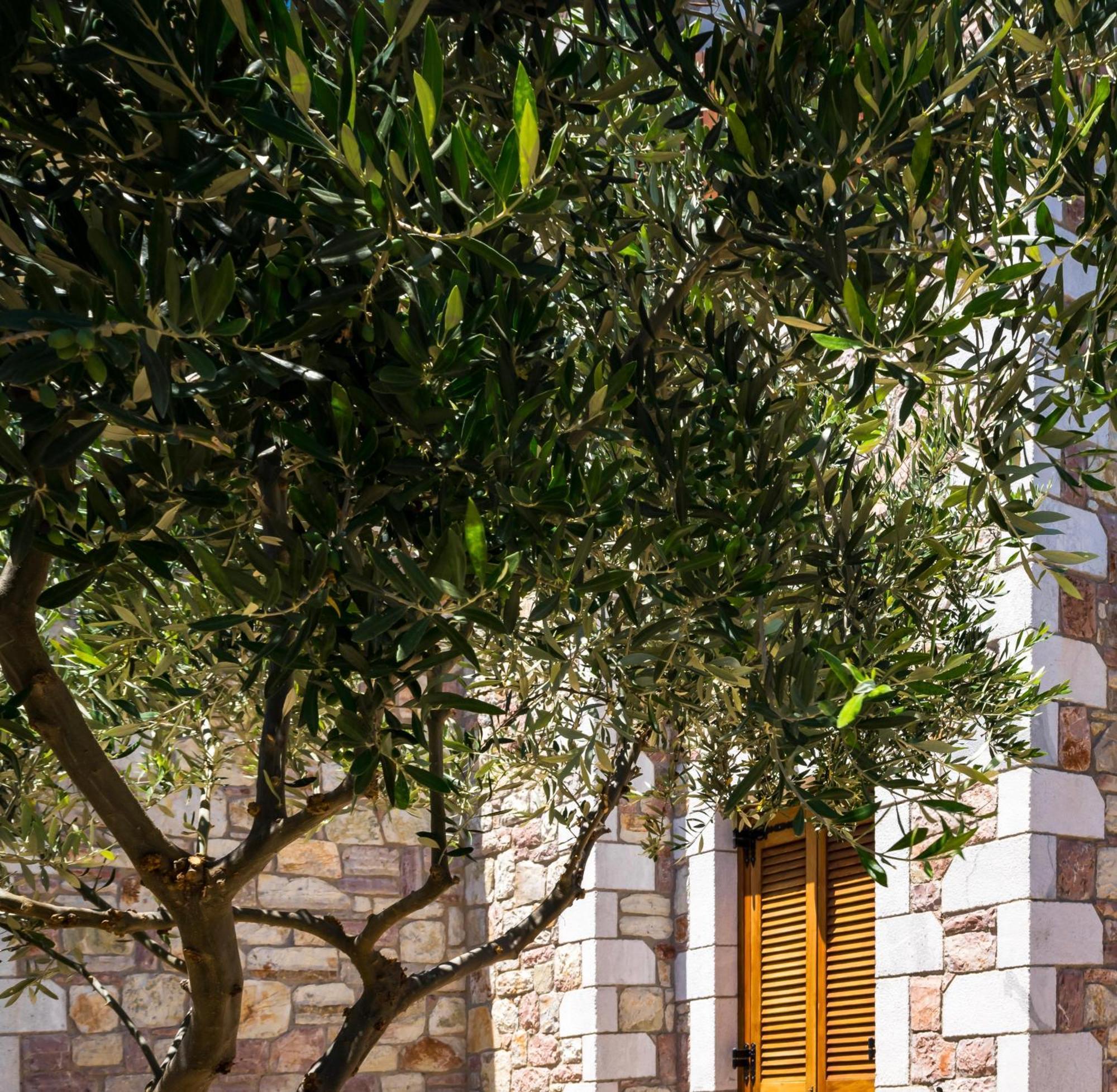 Liokrina Country Living Villas & Suites Koroni  Ngoại thất bức ảnh